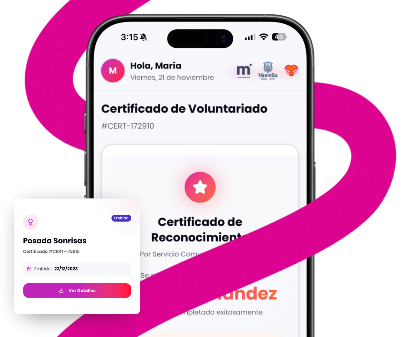 Mockup Sistema de Voluntarios Morelia